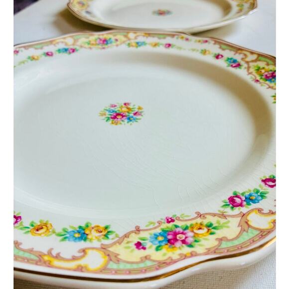 Vintage 10” Floral Porcelain Dinner Plates (Set of 2) - Picture 1 of 4